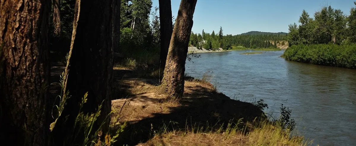 Wilson Park