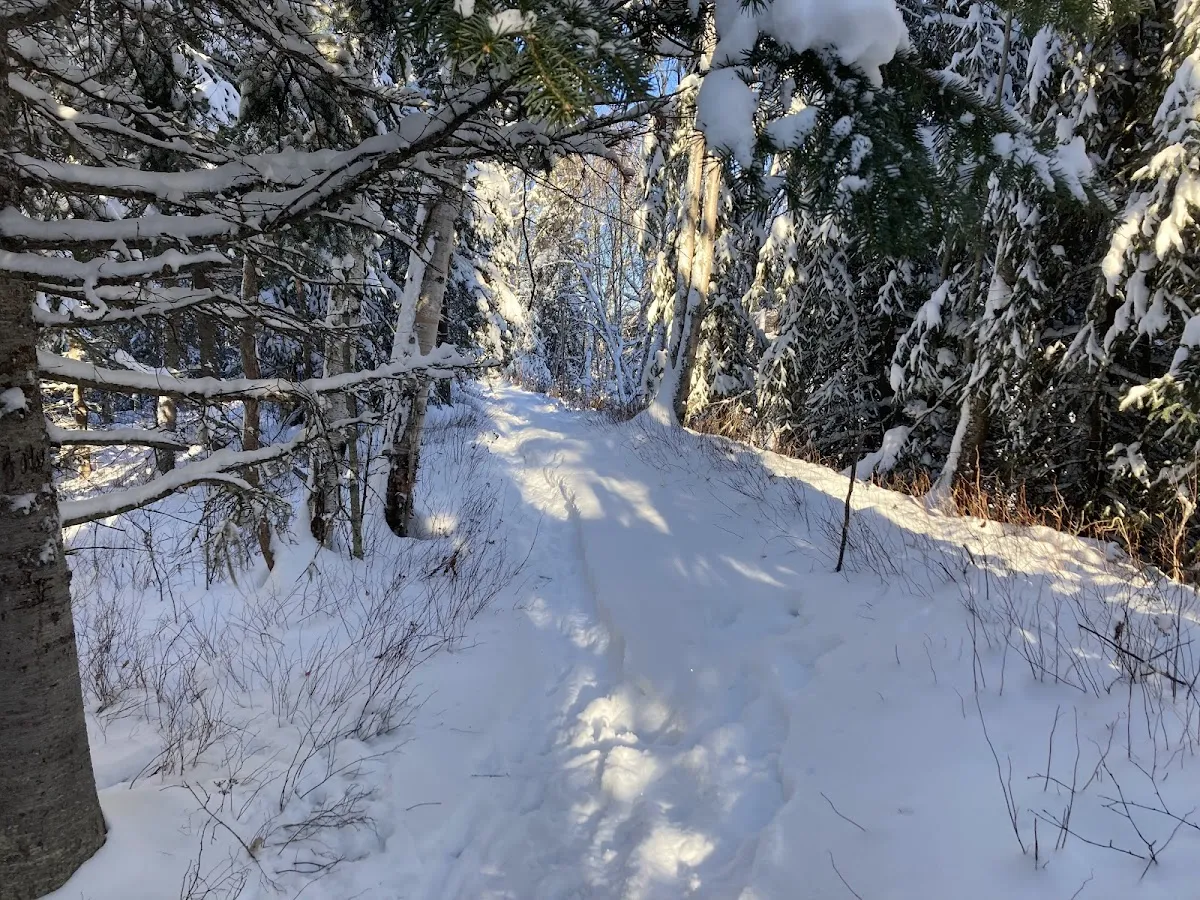 Parkridge Creek Park