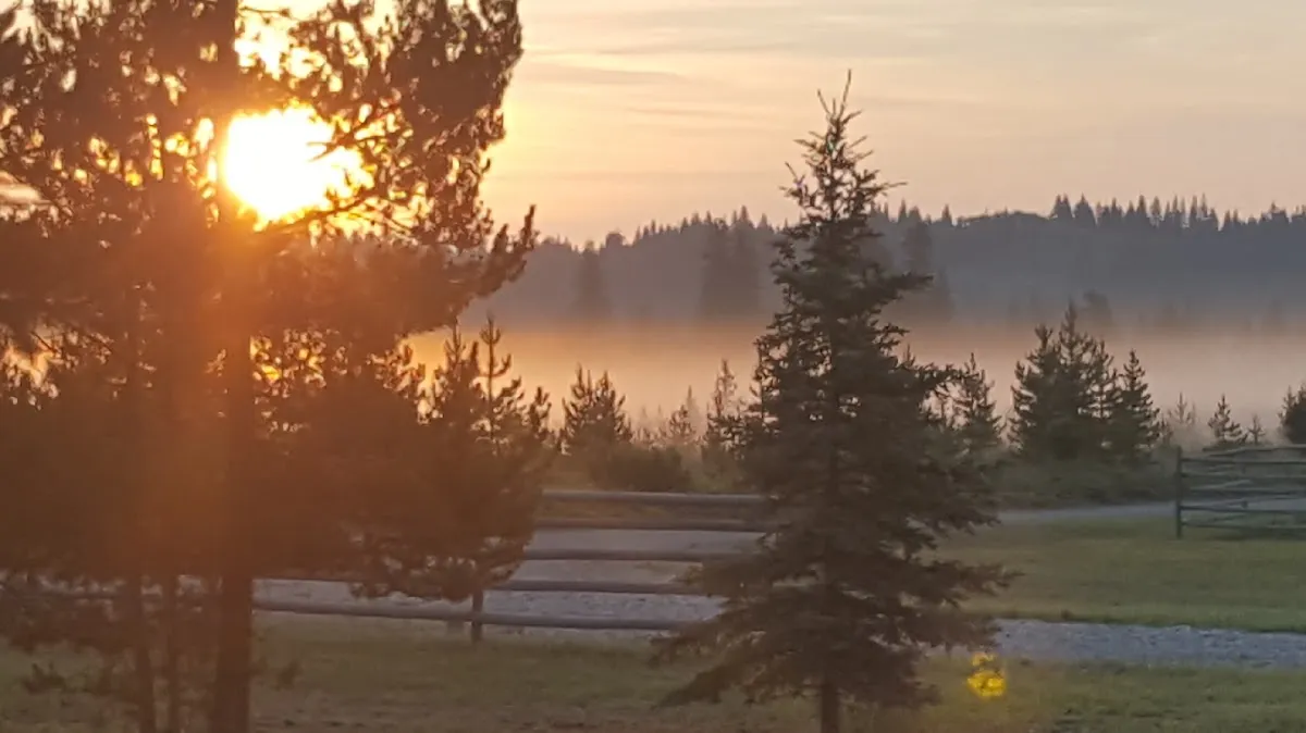 Woodhouse Cottages and Ranch