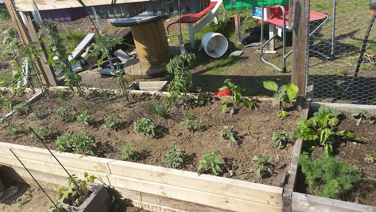 Brkich Mobile Home Park