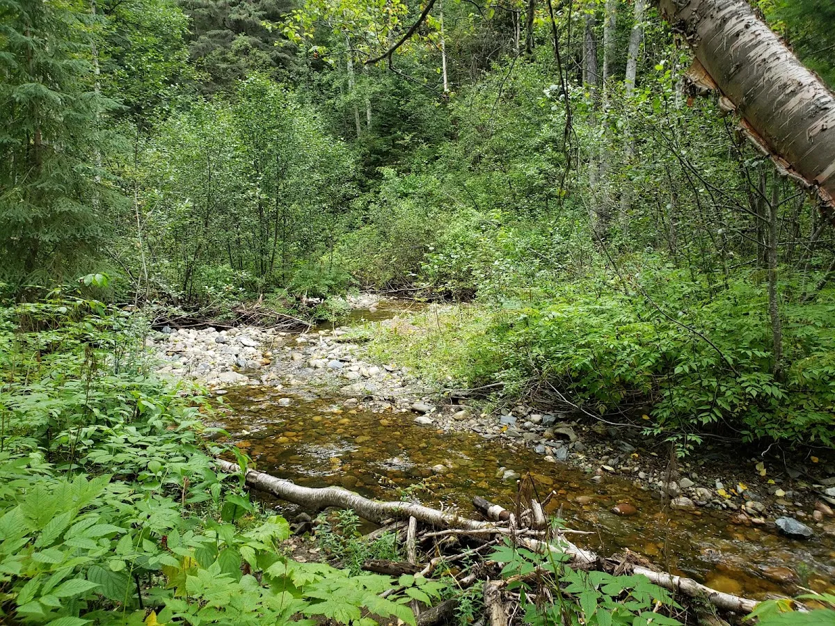 Great West Life Mobility Nature Trail