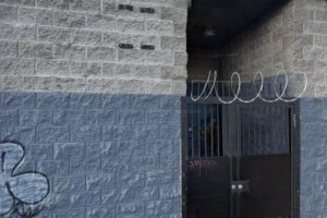 Live & Lift Ladies Fitness