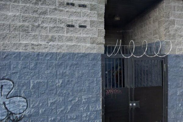 Live & Lift Ladies Fitness