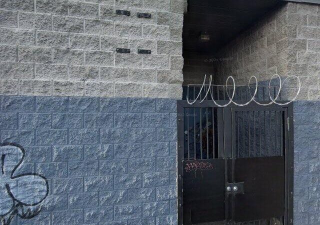 Live & Lift Ladies Fitness