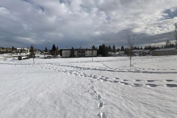 Jackpine Park