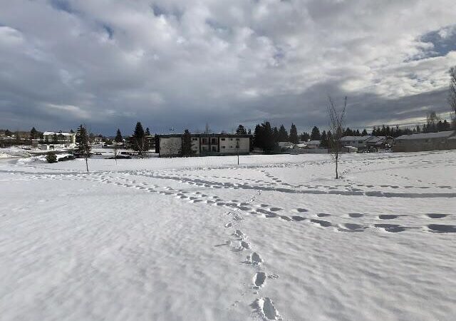 Jackpine Park